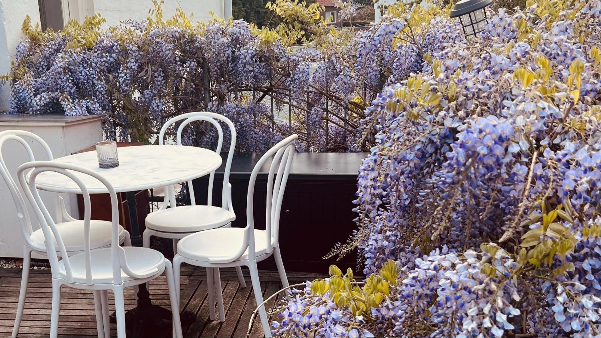 Heerlijk Appartement Centrum Breda En Restaurant! Exteriér fotografie